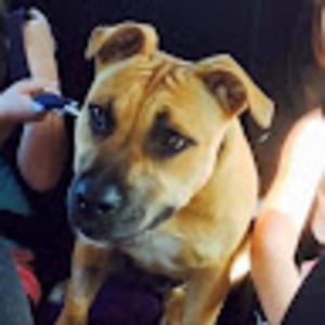 Meet your Posher, Heidi